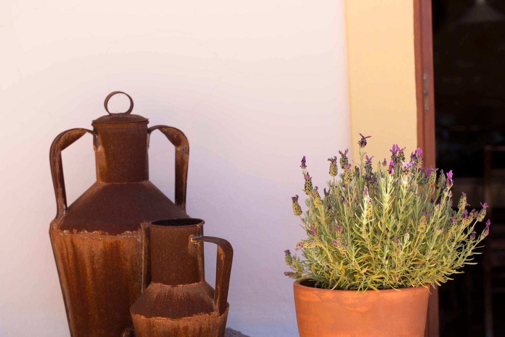 B&B Candelaria Corregos de Monte Seco ภายนอก รูปภาพ
