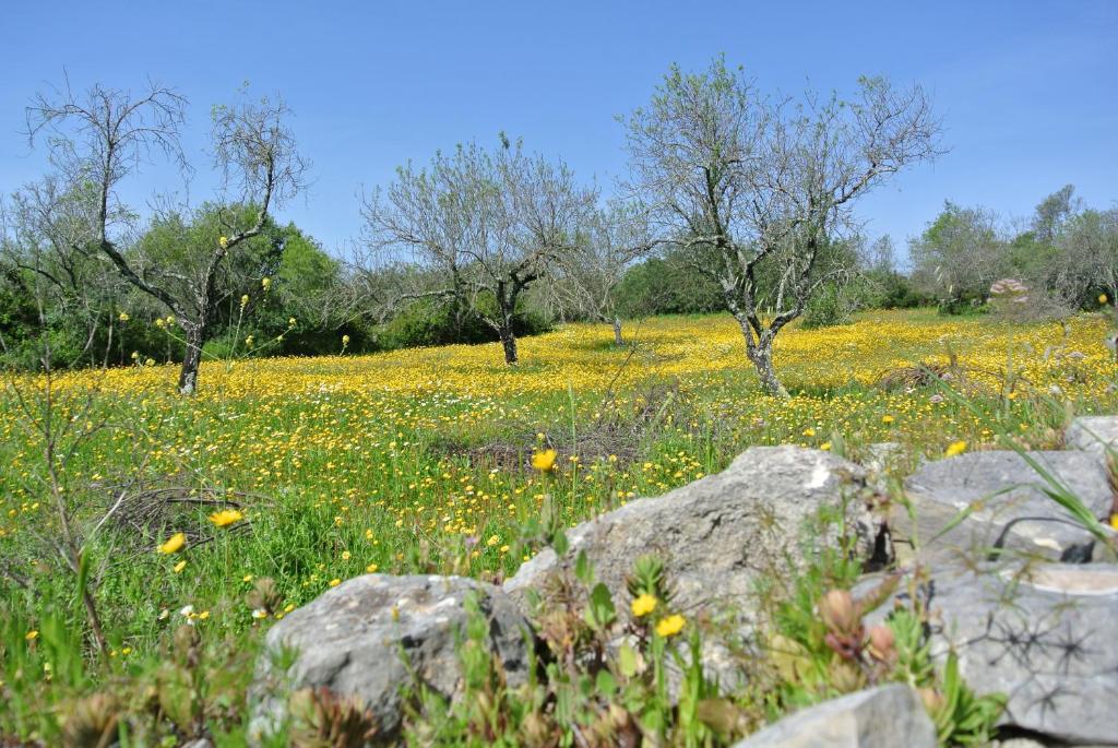 B&B Candelaria Corregos de Monte Seco ภายนอก รูปภาพ
